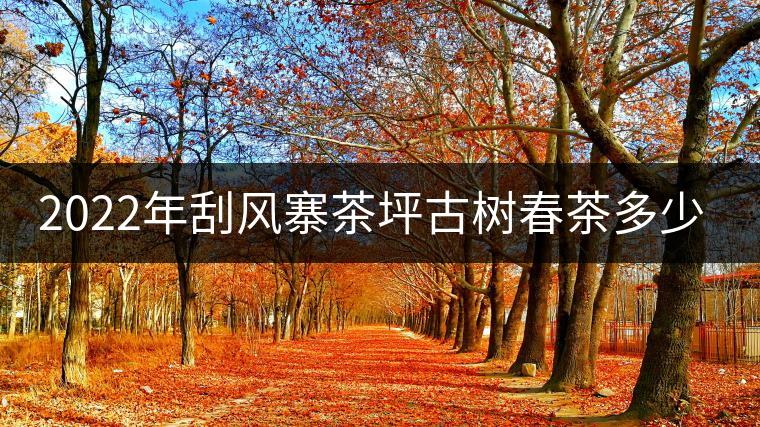 2022年刮風(fēng)寨茶坪古樹春茶多少錢一公斤? 2022年刮風(fēng)寨茶坪古樹春茶多少錢一公斤?