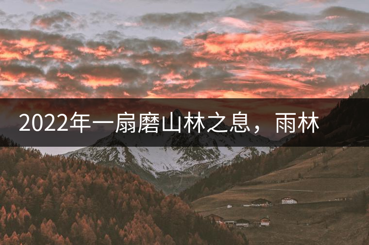 2022年一扇磨山林之息，雨林之味，原始之態(tài)