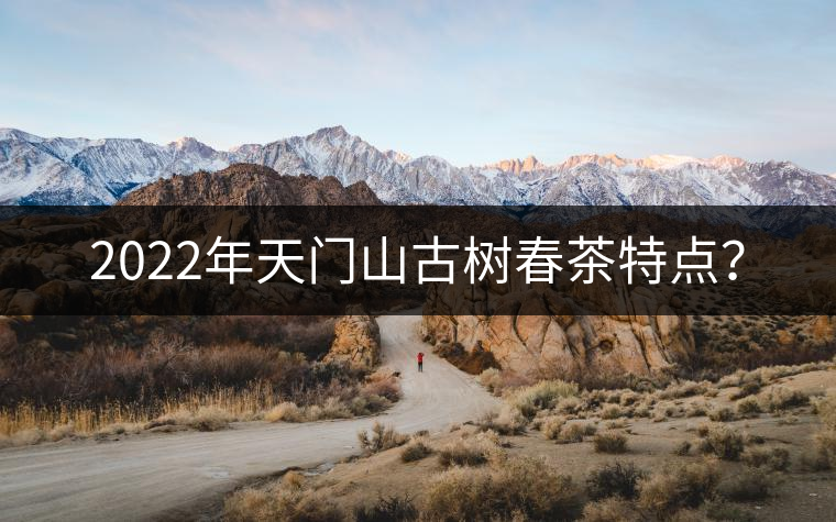 2022年天門山古樹春茶特點(diǎn)？