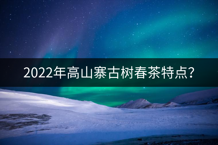 2022年高山寨古樹春茶特點(diǎn)？