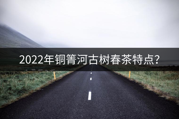 2022年銅箐河古樹春茶特點(diǎn)？