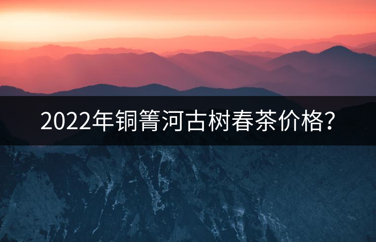 2022年銅箐河古樹春茶價格？