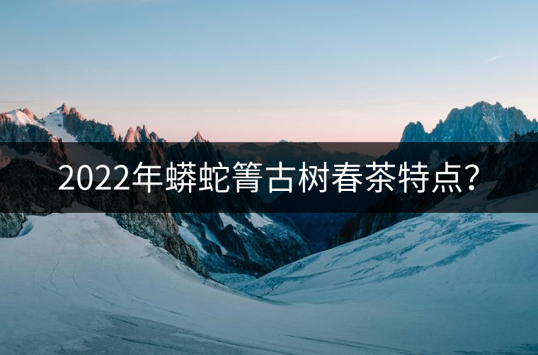 2022年蟒蛇箐古樹春茶特點(diǎn)？