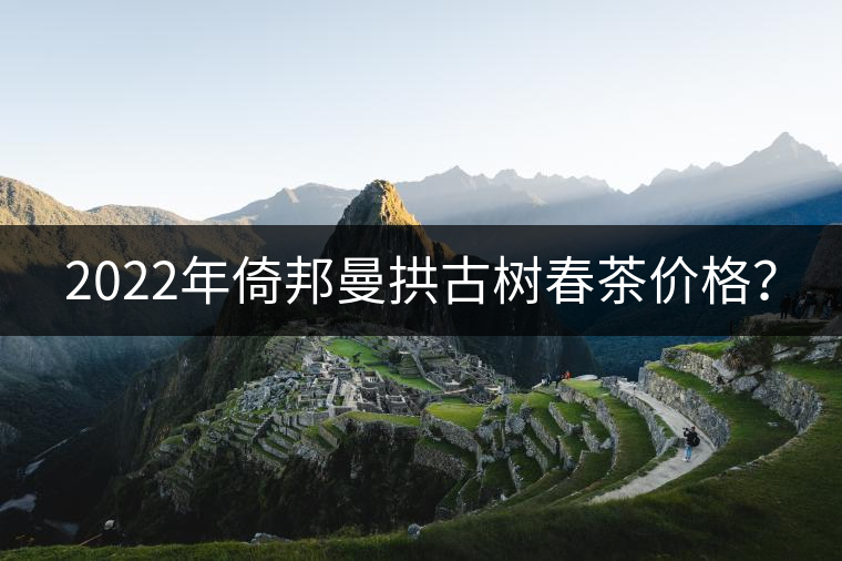 2022年倚邦曼拱古樹春茶價格？