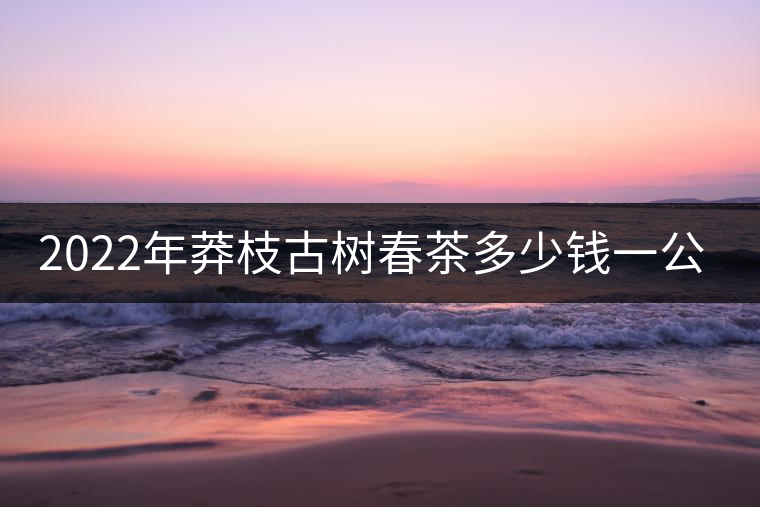 2022年莽枝古樹春茶多少錢一公斤？