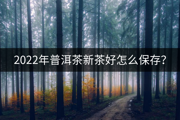 2022年普洱茶新茶好怎么保存？