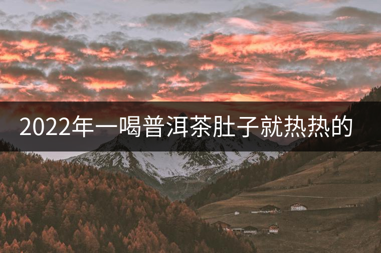 2022年一喝普洱茶肚子就熱熱的怎么回事？