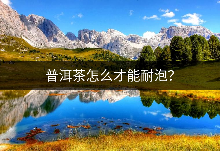 普洱茶怎么才能耐泡？