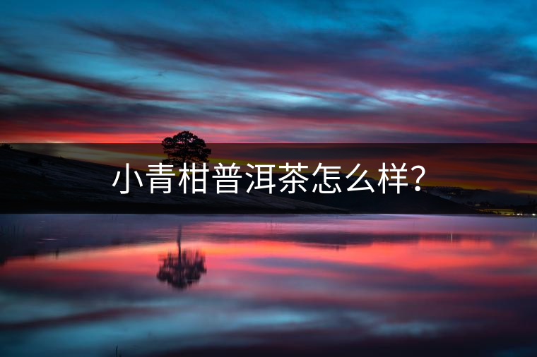 小青柑普洱茶怎么樣？
