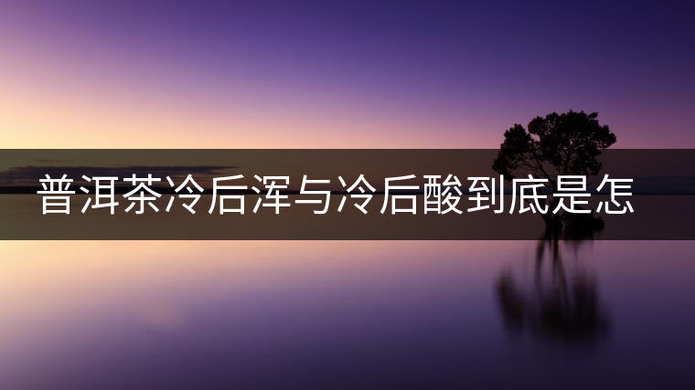 普洱茶冷后渾與冷后酸到底是怎么回事？