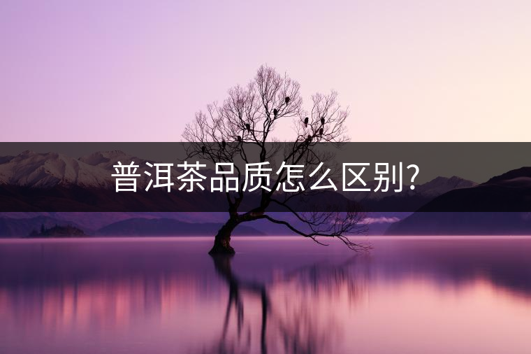 普洱茶品質(zhì)怎么區(qū)別?
