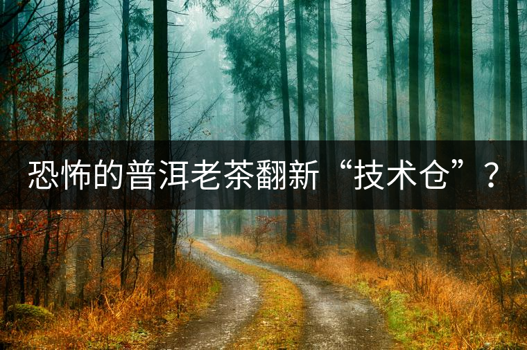 恐怖的普洱老茶翻新“技術(shù)倉”？