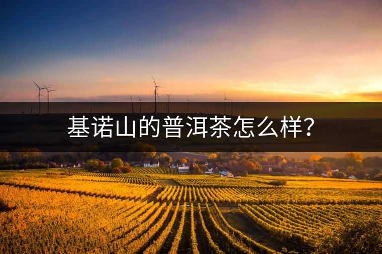 基諾山的普洱茶怎么樣？
