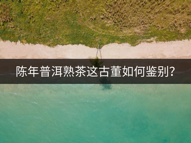 陳年普洱熟茶這古董如何鑒別？