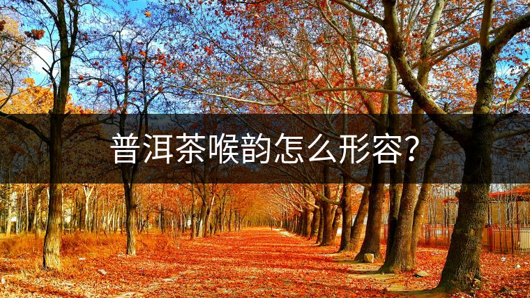 普洱茶喉韻怎么形容？