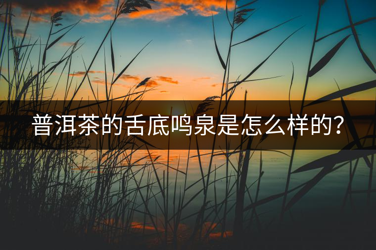 普洱茶的舌底鳴泉是怎么樣的？