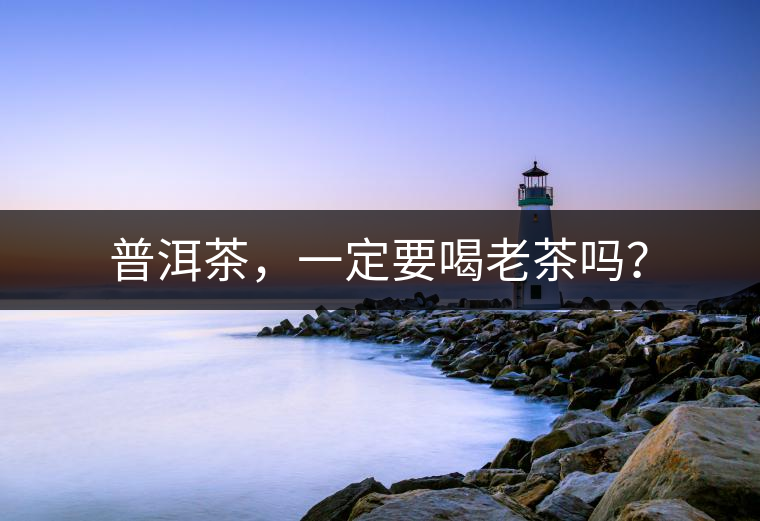 普洱茶，一定要喝老茶嗎？