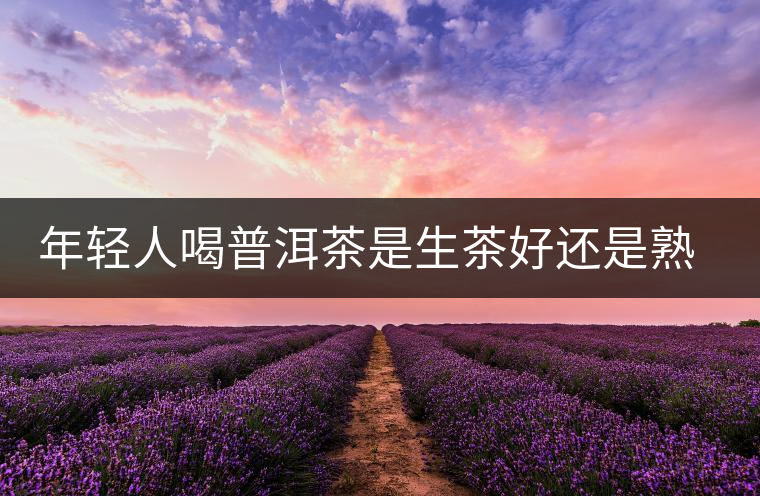 年輕人喝普洱茶是生茶好還是熟茶好？該怎么選擇？