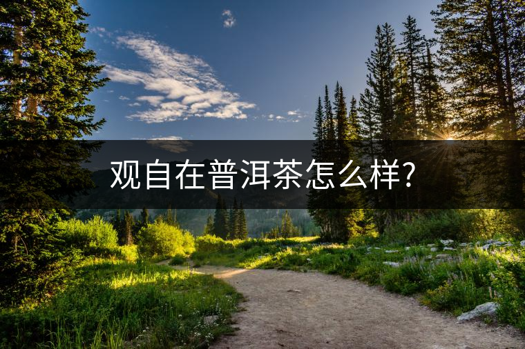 觀(guān)自在普洱茶怎么樣? 觀(guān)自在普洱茶怎么樣?