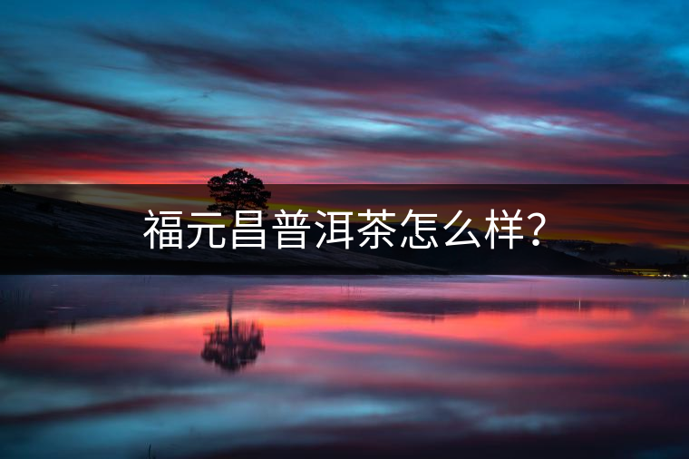 福元昌普洱茶怎么樣？