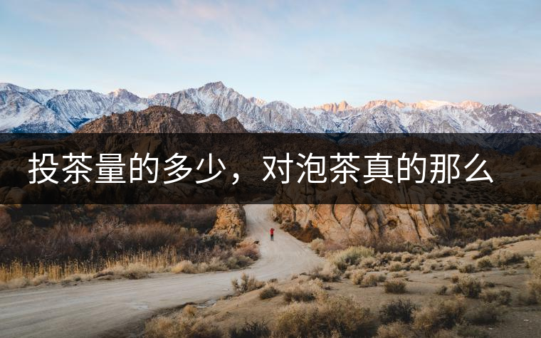 投茶量的多少，對(duì)泡茶真的那么重要嗎？