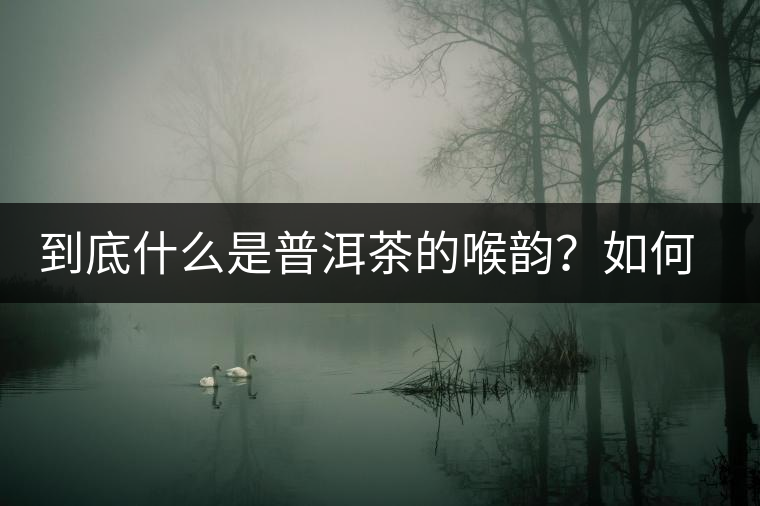 到底什么是普洱茶的喉韻？如何感受？