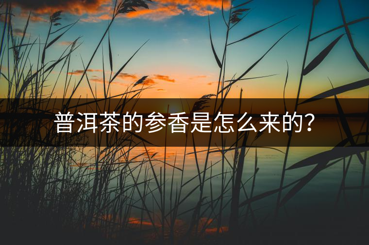 普洱茶的參香是怎么來(lái)的？