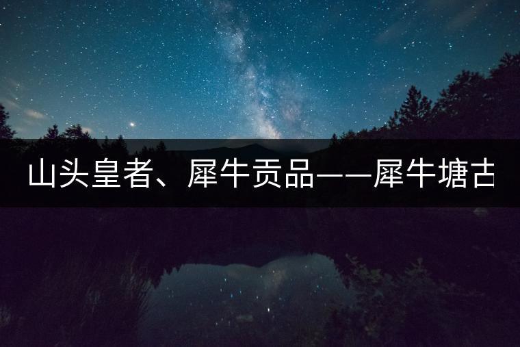 山頭皇者、犀牛貢品——犀牛塘古樹茶！