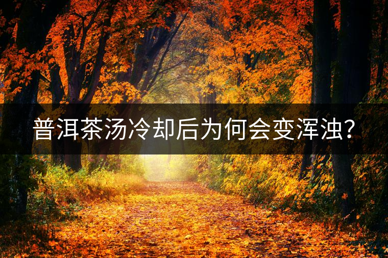 普洱茶湯冷卻后為何會(huì)變渾濁？