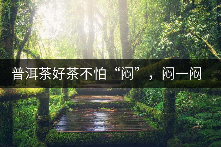 普洱茶好茶不怕“悶”，悶一悶看本味