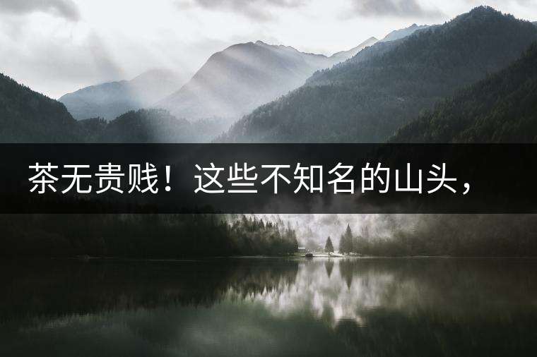 茶無(wú)貴賤！這些不知名的山頭，其實(shí)也產(chǎn)優(yōu)質(zhì)普洱茶！
