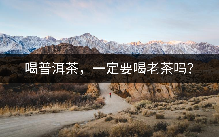 喝普洱茶，一定要喝老茶嗎？