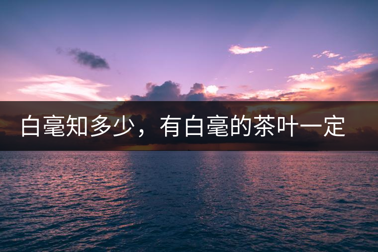 白毫知多少，有白毫的茶葉一定好嗎？