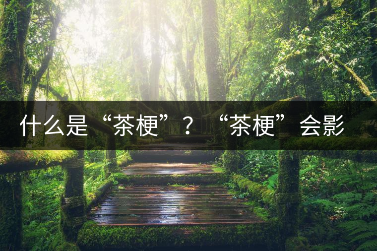 什么是“茶?！?？“茶?！睍?huì)影響普洱茶品質(zhì)？