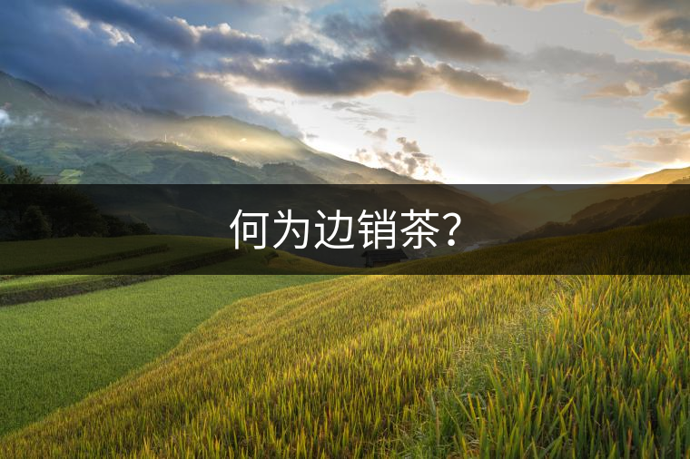 何為邊銷茶？