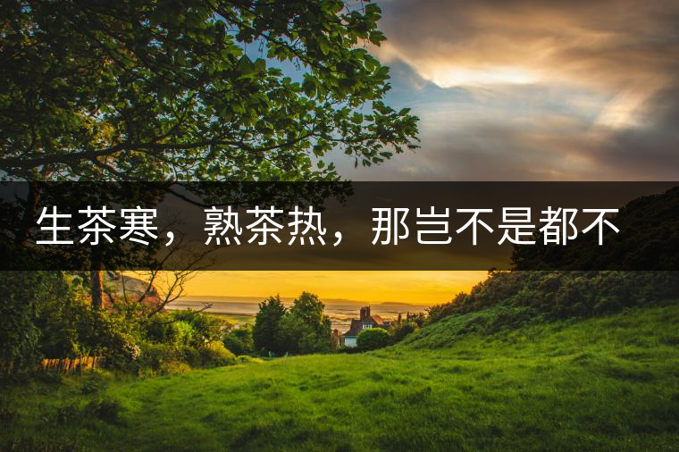 生茶寒，熟茶熱，那豈不是都不能喝了？丨實(shí)用