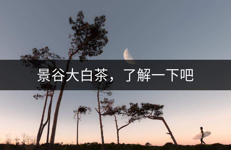 景谷大白茶，了解一下吧