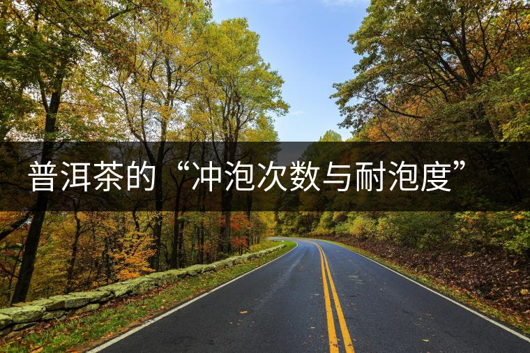 普洱茶的“沖泡次數(shù)與耐泡度”，你都了解嗎？