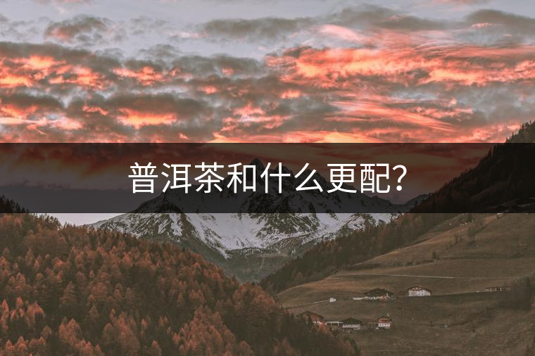 普洱茶和什么更配？