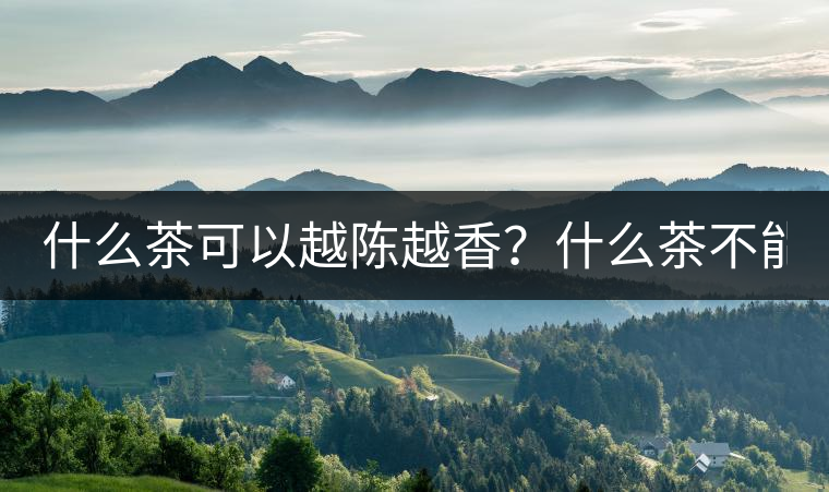 什么茶可以越陳越香？什么茶不能？