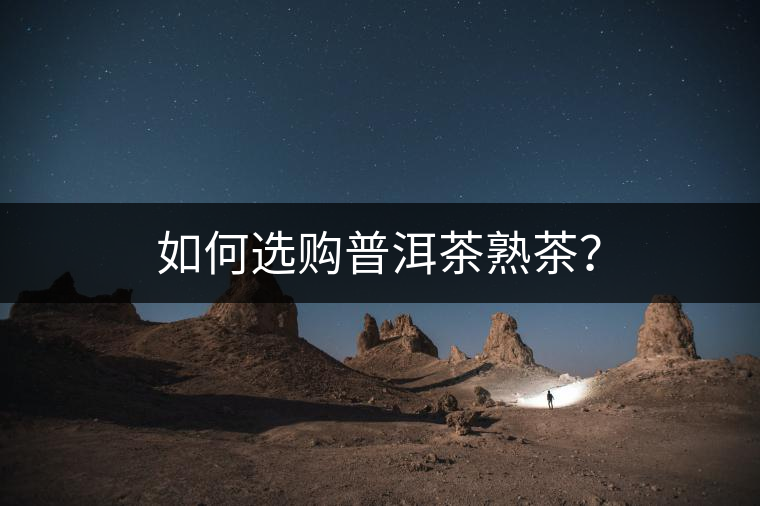 如何選購普洱茶熟茶？