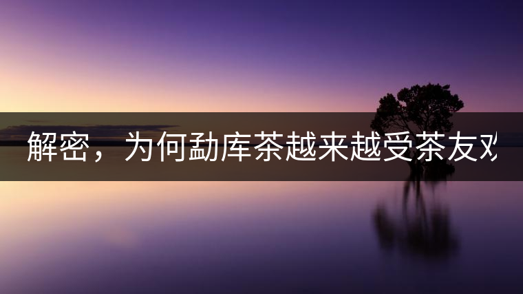 解密，為何勐庫茶越來越受茶友歡迎！