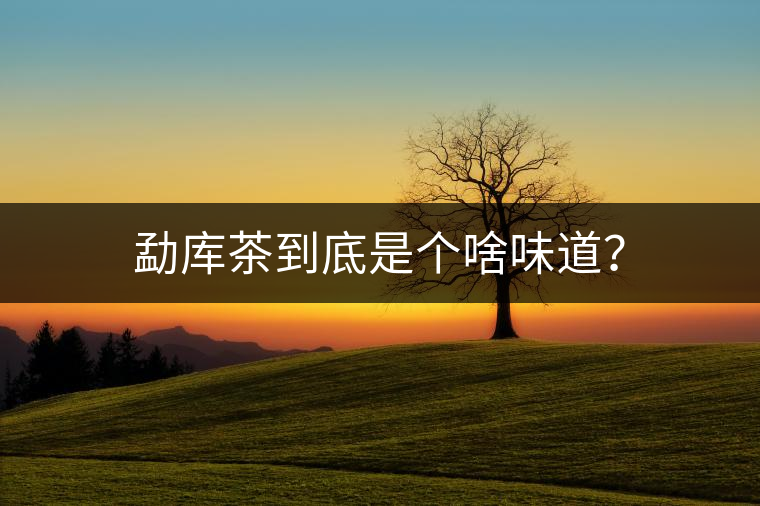 勐庫(kù)茶到底是個(gè)啥味道？