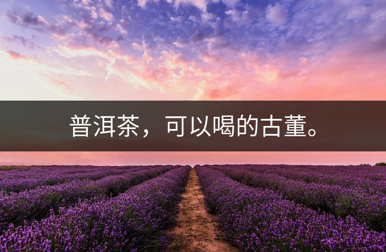 普洱茶，可以喝的古董。