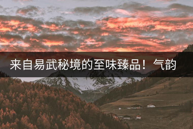 來(lái)自易武秘境的至味臻品！氣韻強(qiáng)勁，余韻深邃，一口喚醒你的味蕾~
