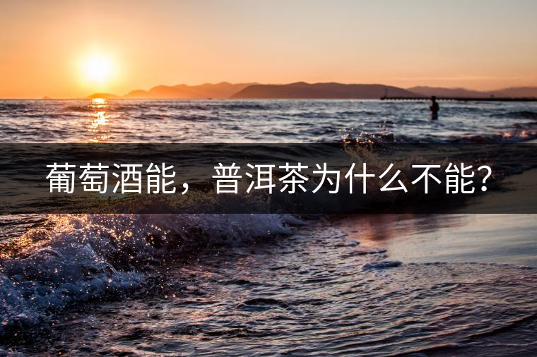 葡萄酒能，普洱茶為什么不能？