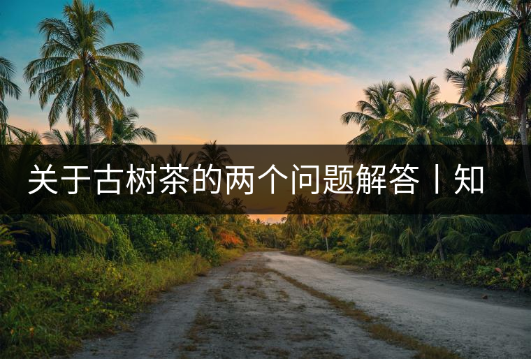 關于古樹茶的兩個問題解答丨知識