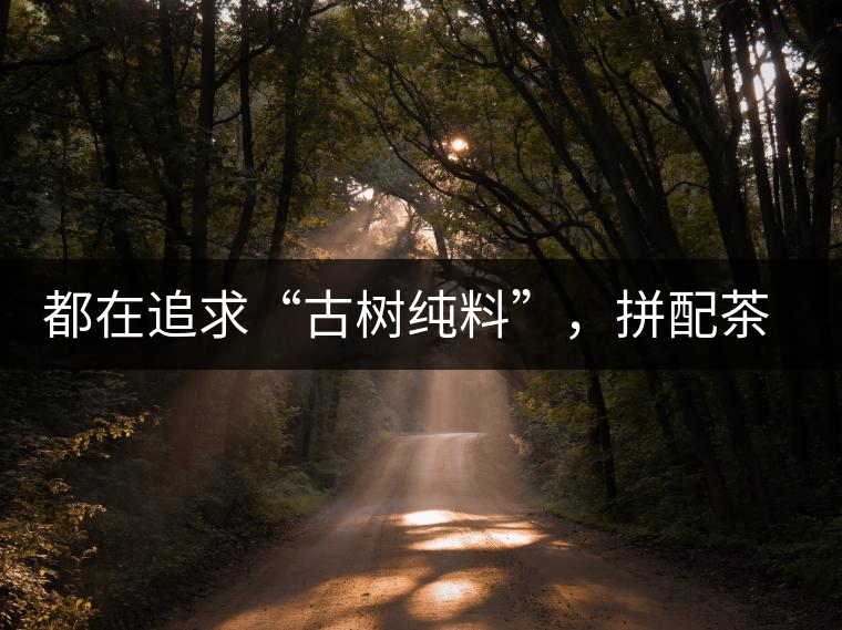 都在追求“古樹純料”，拼配茶真的不如純料的？