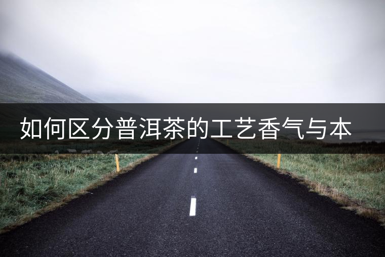 如何區(qū)分普洱茶的工藝香氣與本質(zhì)香氣 如何區(qū)分普洱茶的工藝香氣與本質(zhì)香氣