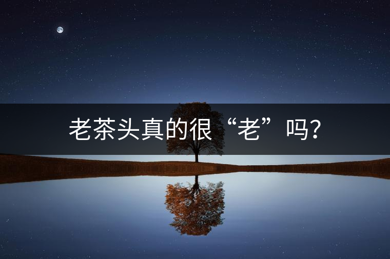 老茶頭真的很“老”嗎？